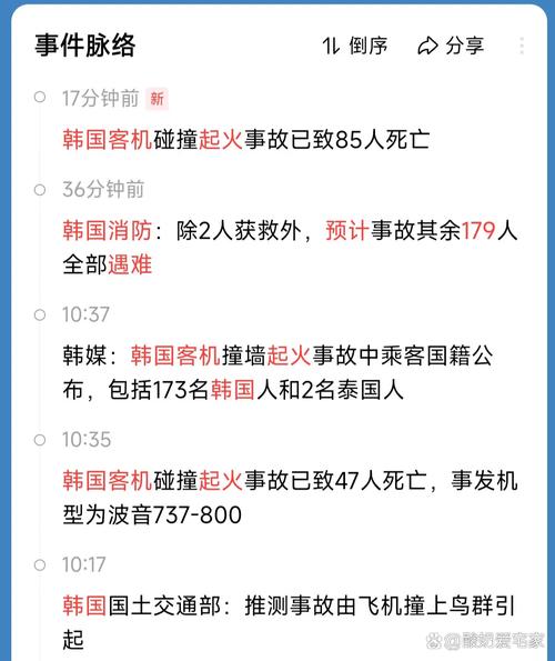 2025新澳门王中王正版和韩国坠机致4人遇难与韩国坠机事件