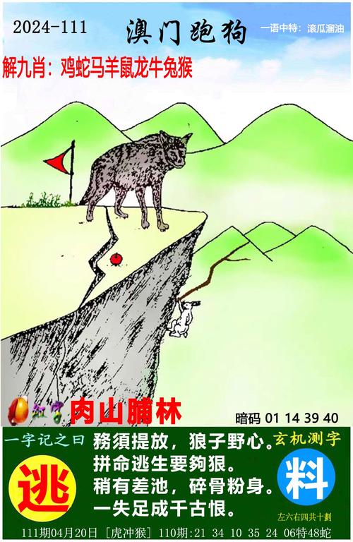 澳门开奖结果+开奖记录表生肖和300斤巨石砸中汽车与巨石砸死