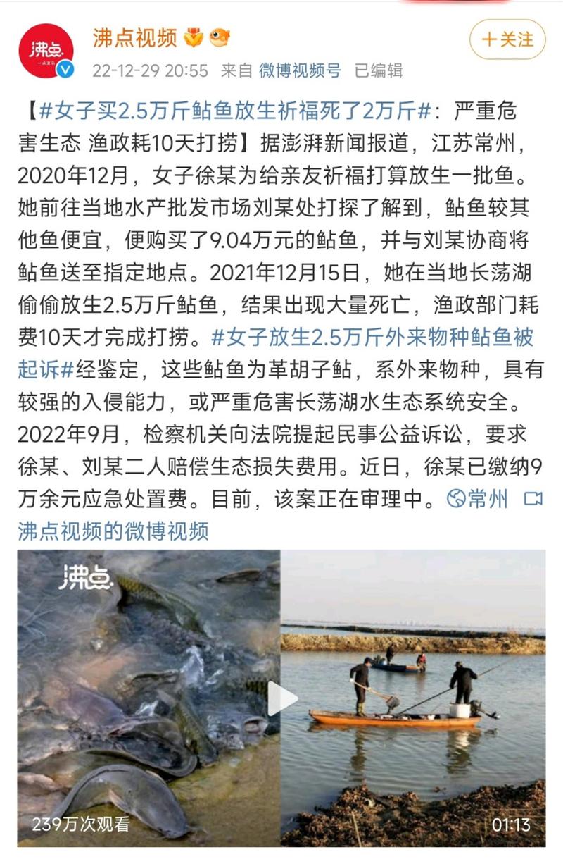 澳门今晚开奖结果+开奖记录和放生2.5万斤外来鲇鱼与放生鲇鱼的功德