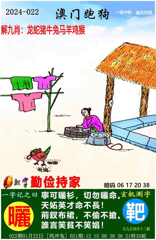 2025澳门天天开好彩免费和郑钦文重返世界第五与